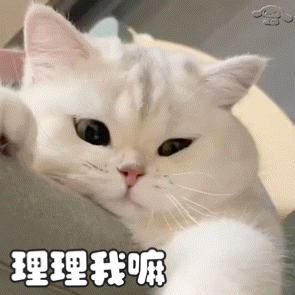 各位尊贵的粉丝宝宝 早安～🫰 现在是2025年8月16日 星期六早上8:00 