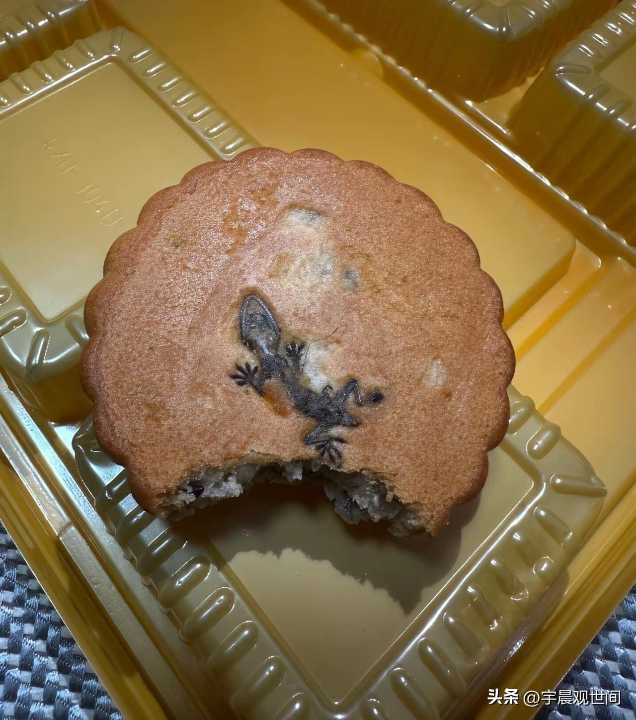 有网友在月饼里吃出一个壁虎[震惊]，
这属于加餐了啊！