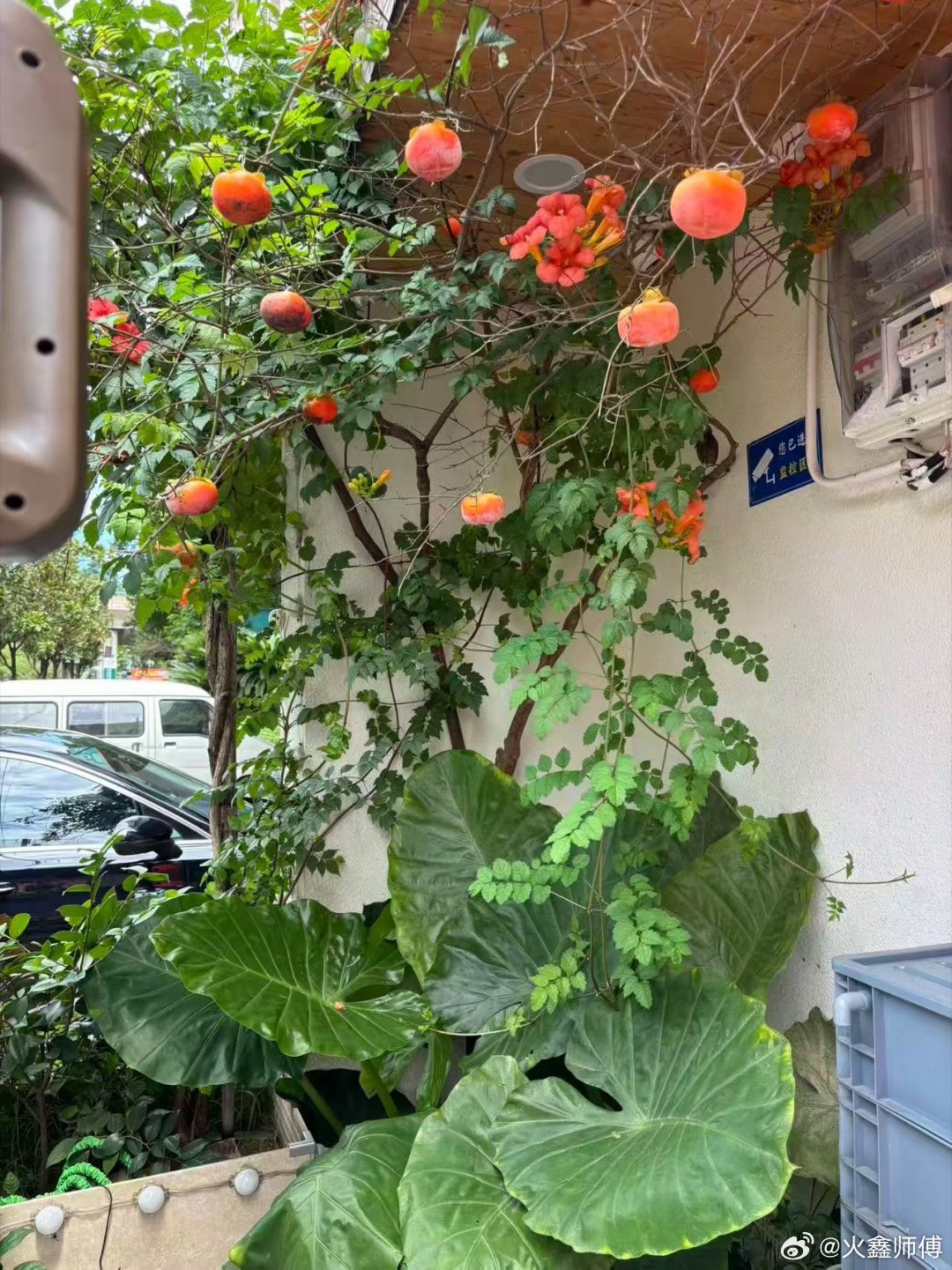 认知 幾乎任何事情，都是越做越簡單，越想越困難，越拖著越想放棄 湘潭·湘潭站