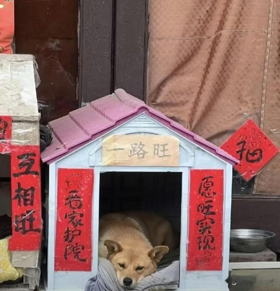 揪心又暖心！
奶奶打麻将锁9个月孙娃在家
5小时，娃失踪后竟在“守护区”熟睡
 