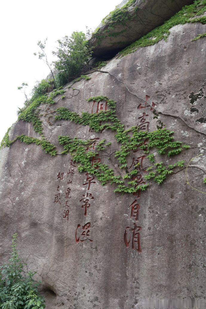微醺悦己的N种打开方式总是会迷失自己，也总会忽略自己的感受，让别人的情绪影响了自