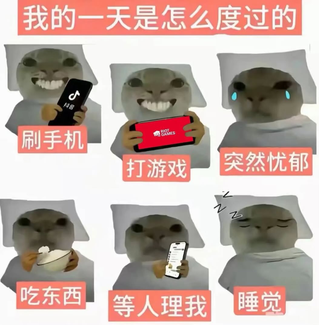 放假第一天 