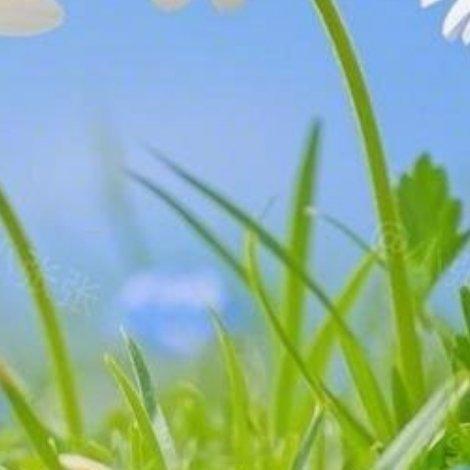 生命来来往往，来日真的并不方长！好好努力、慢慢相遇，认真过好自己的小日子，愿我们