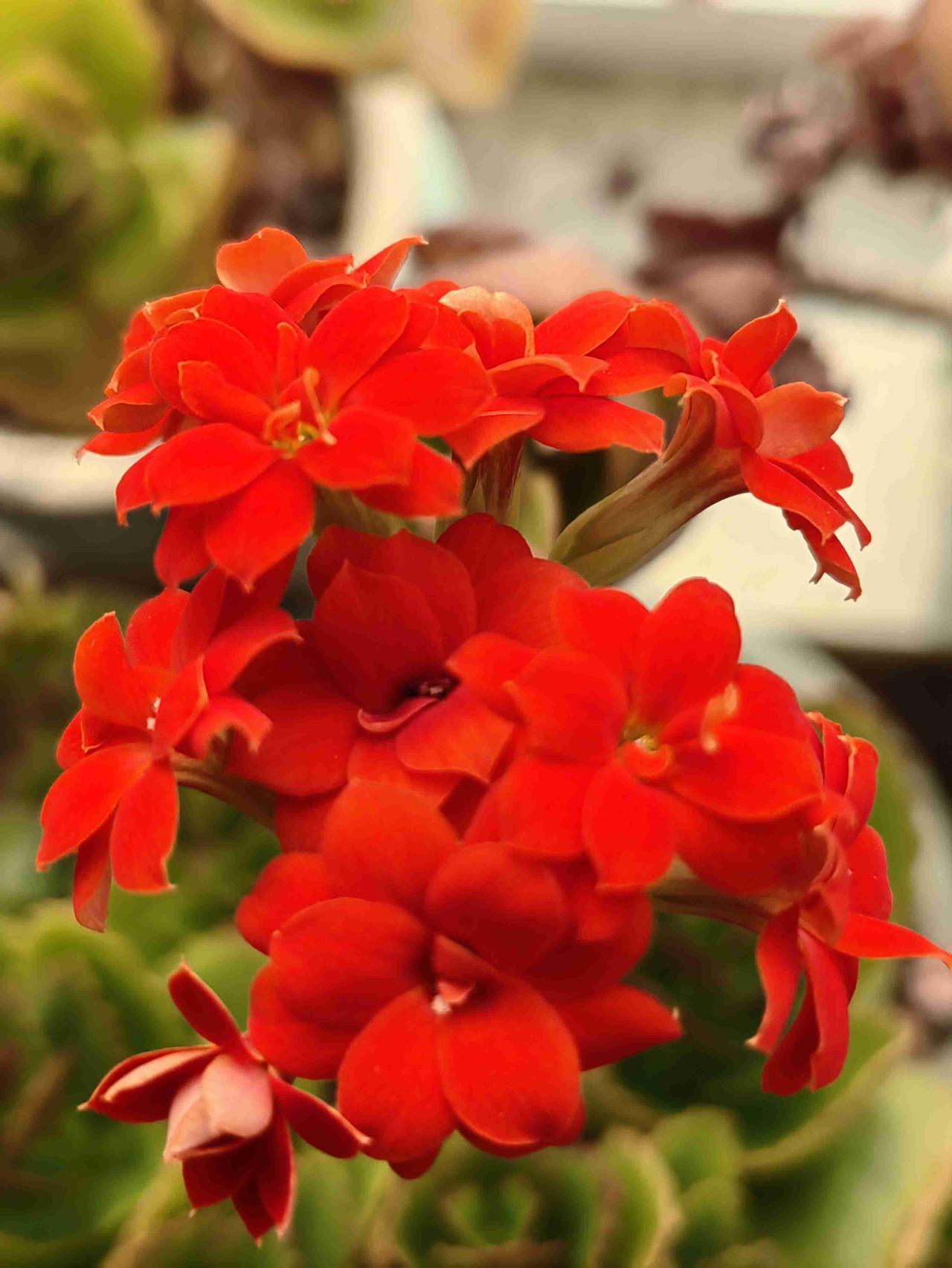 我的今日状态：😁轻松愉快
我这里的天气：☀️晴天