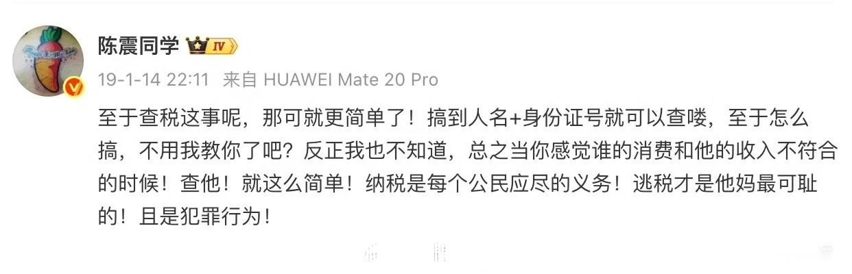 不管什么原因，陈震这种年入千万的顶流大V只偷了100万，点赞陈震偷税案