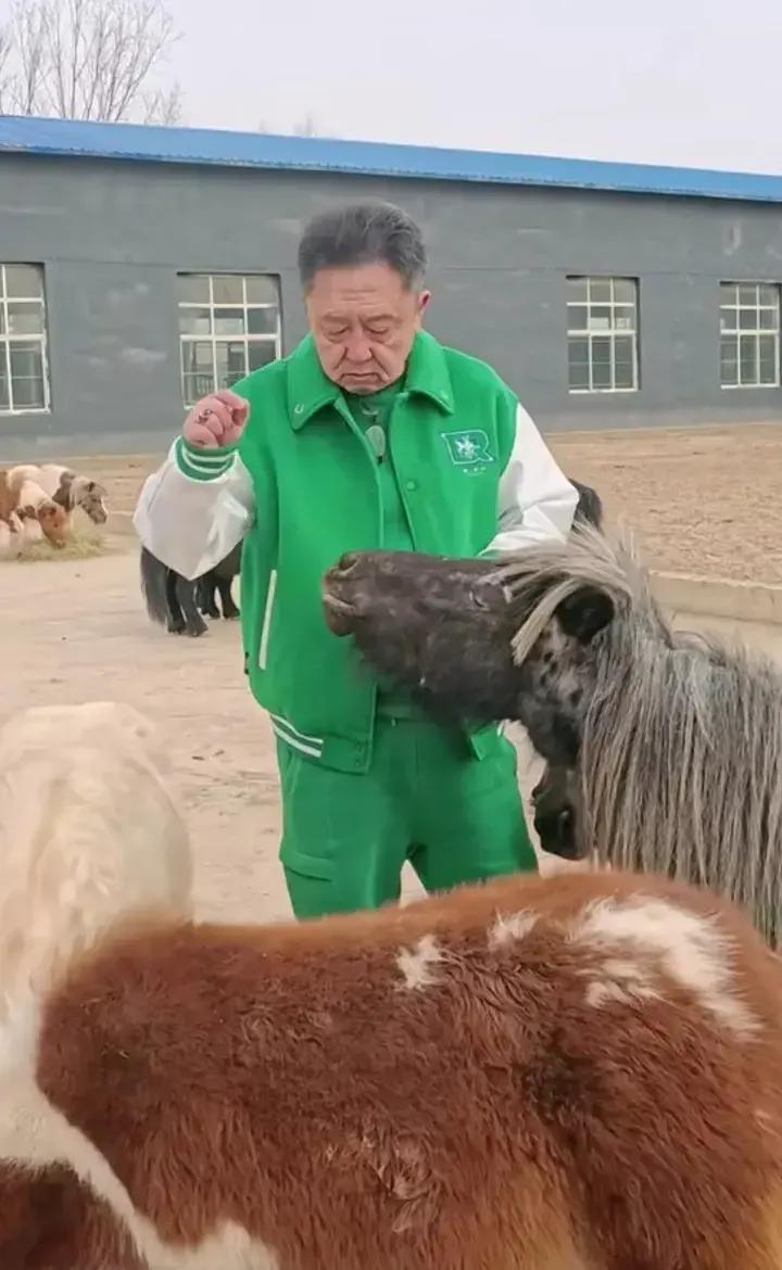 他们说于谦于大爷明明50多岁却像80岁的，说的也太狠了些吧，不过确实不显年轻，难