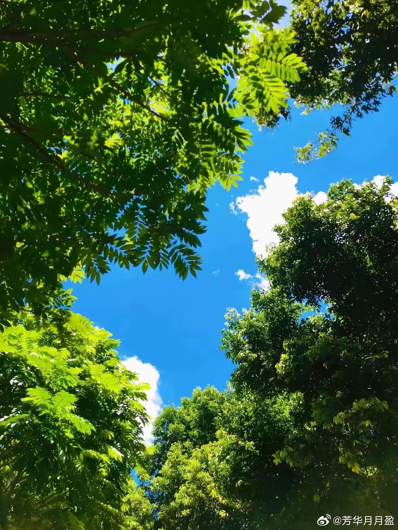 张雪峰说：“同学们，你们一定要多挣钱。我以前也觉得飞机头等舱没意义，住店有个床就