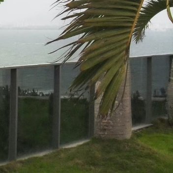 杨幂阳光信用 🌞每日一善 脚踏实地，比什么都重要，天下没有不劳而获，更没有一夜