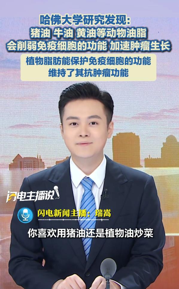 “如意算盘落空了！”哈佛大学研究发现：猪油牛油黄油等动物油脂，会削弱免疫细胞的功
