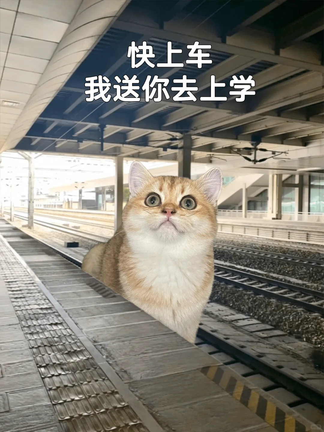 这个模板有点东西 想记录下此刻