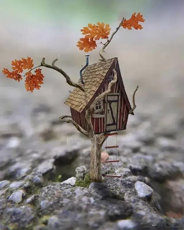 大彻大悟的一段话：
“下等的孝顺，是给钱；中等的孝顺，是给脸；而顶级的孝顺，是先