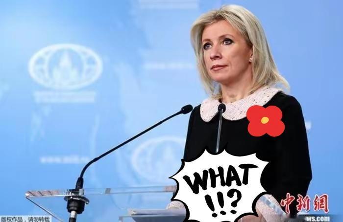 俄罗斯外交部表示了！

1月14日综合俄媒报道，俄罗斯外交部在评论伊朗局势时表示