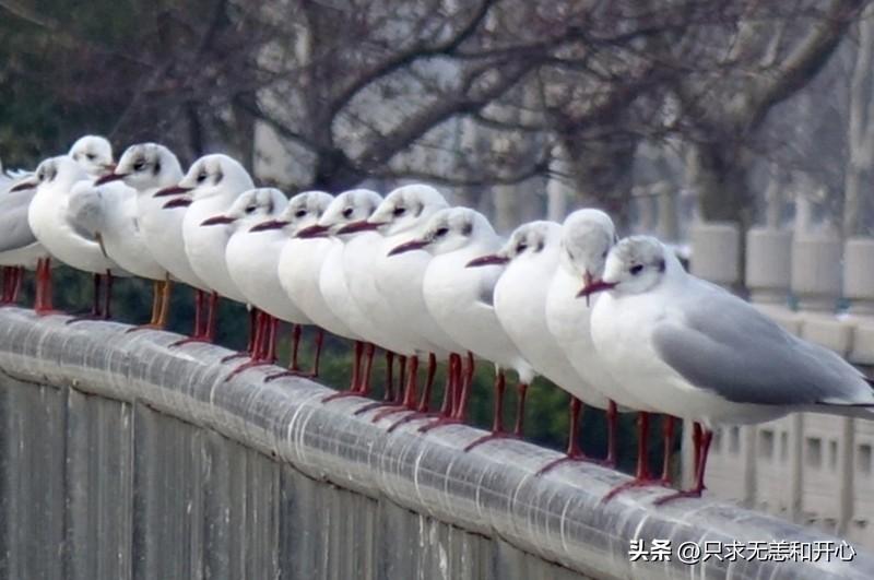 我突然有一个大胆的想法，不知道合适不合适。
我要公开我的头条。
因为我想把自己写