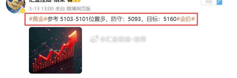 2026.3.13日周五操作记录总结！黄金5103位置多，在5093位置扫损-1