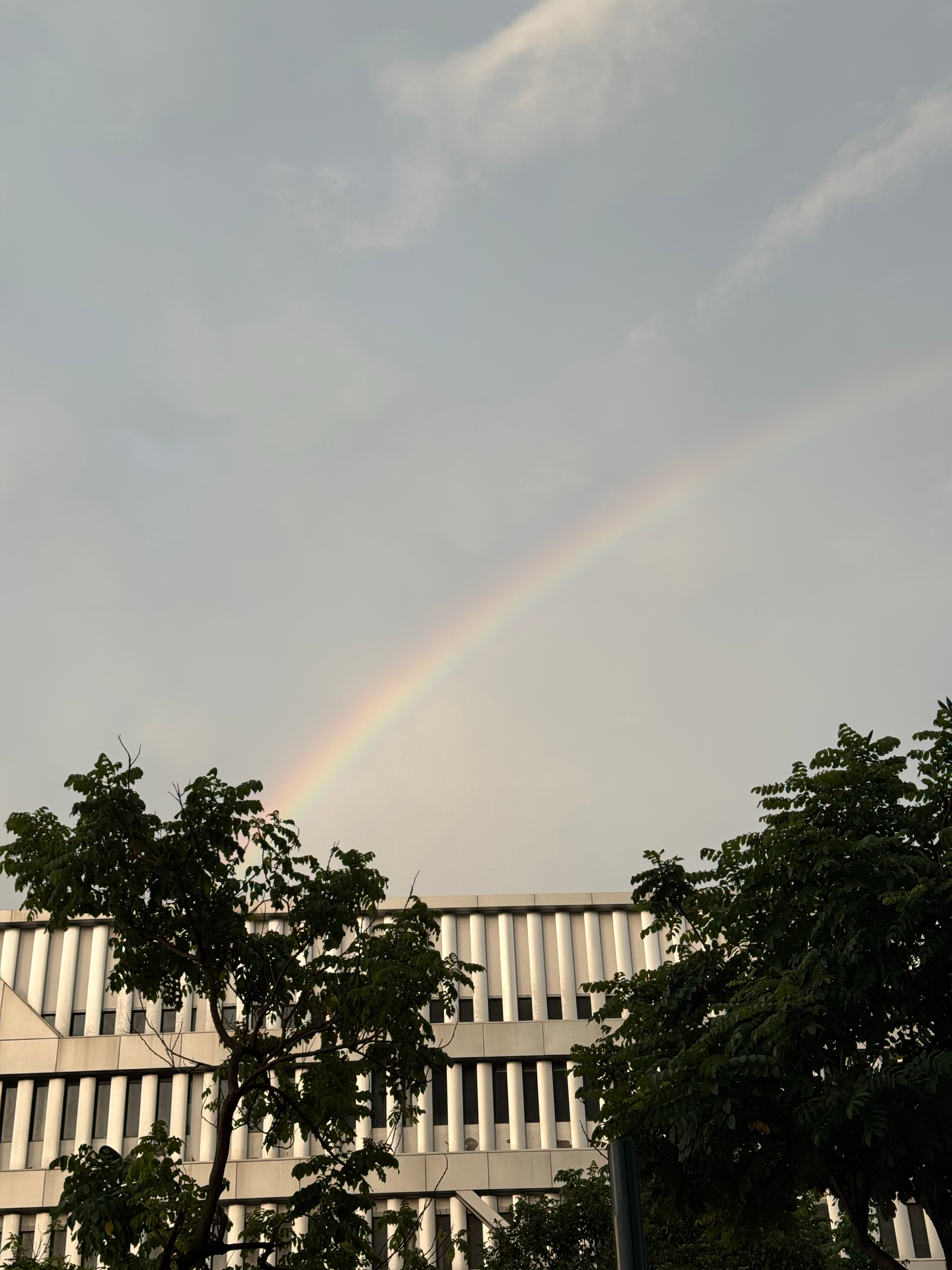 厦门下雨后竟然看到四种不同的天气气象，太好看了～ 
