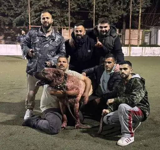 Gölge影子18分钟击败了Ninja忍者，忍者这只狗，去年击败了巴尔...