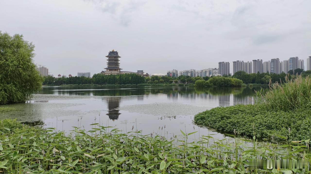 突然感觉人生其实是一场逆成长。
尤其是在追求真理的路上。
这不算天机吧！