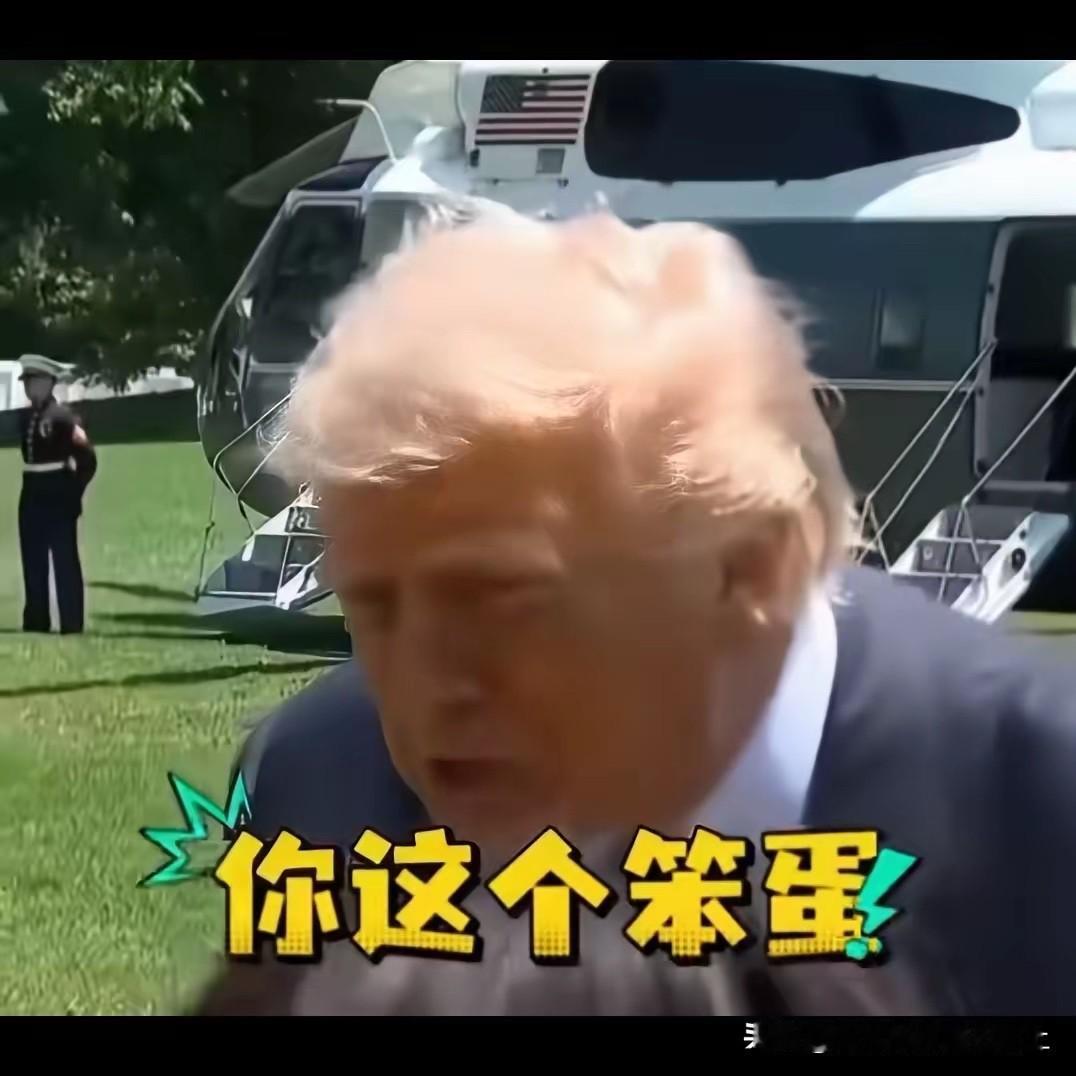在中国人五人六的
刚一落地美国
原形一览无余
脏话络绎不绝！我也是服了
也怪累的