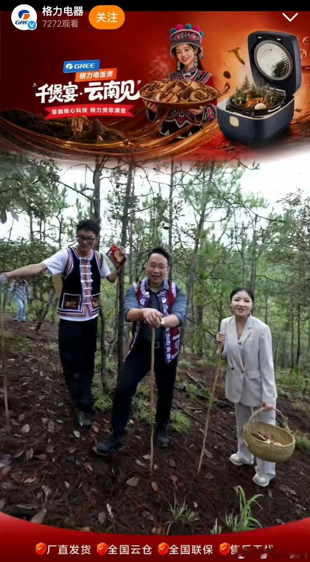 我的菌子之交  雨季漫过云南楚雄的山林，一场场夏雨落下，唤醒藏在湿润腐叶之下的山