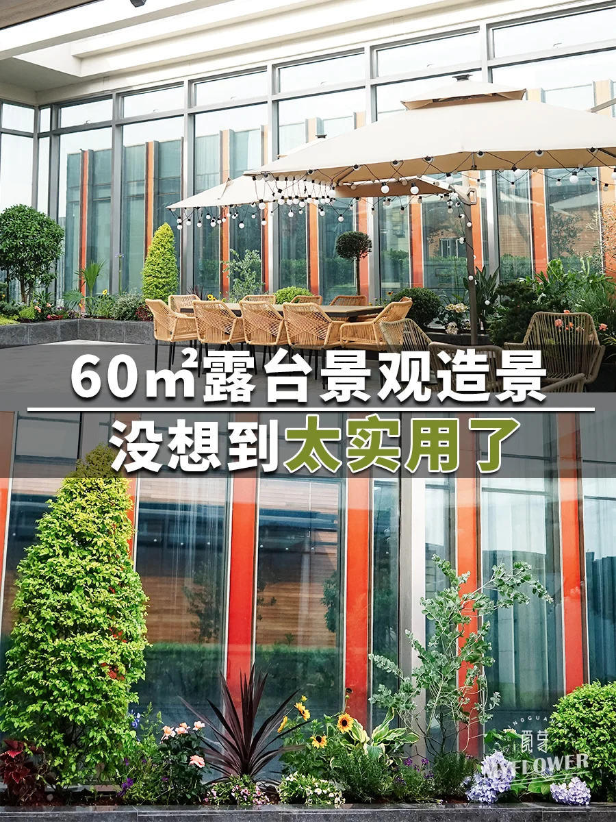 新案落地！超实用的室外露台景观造景
