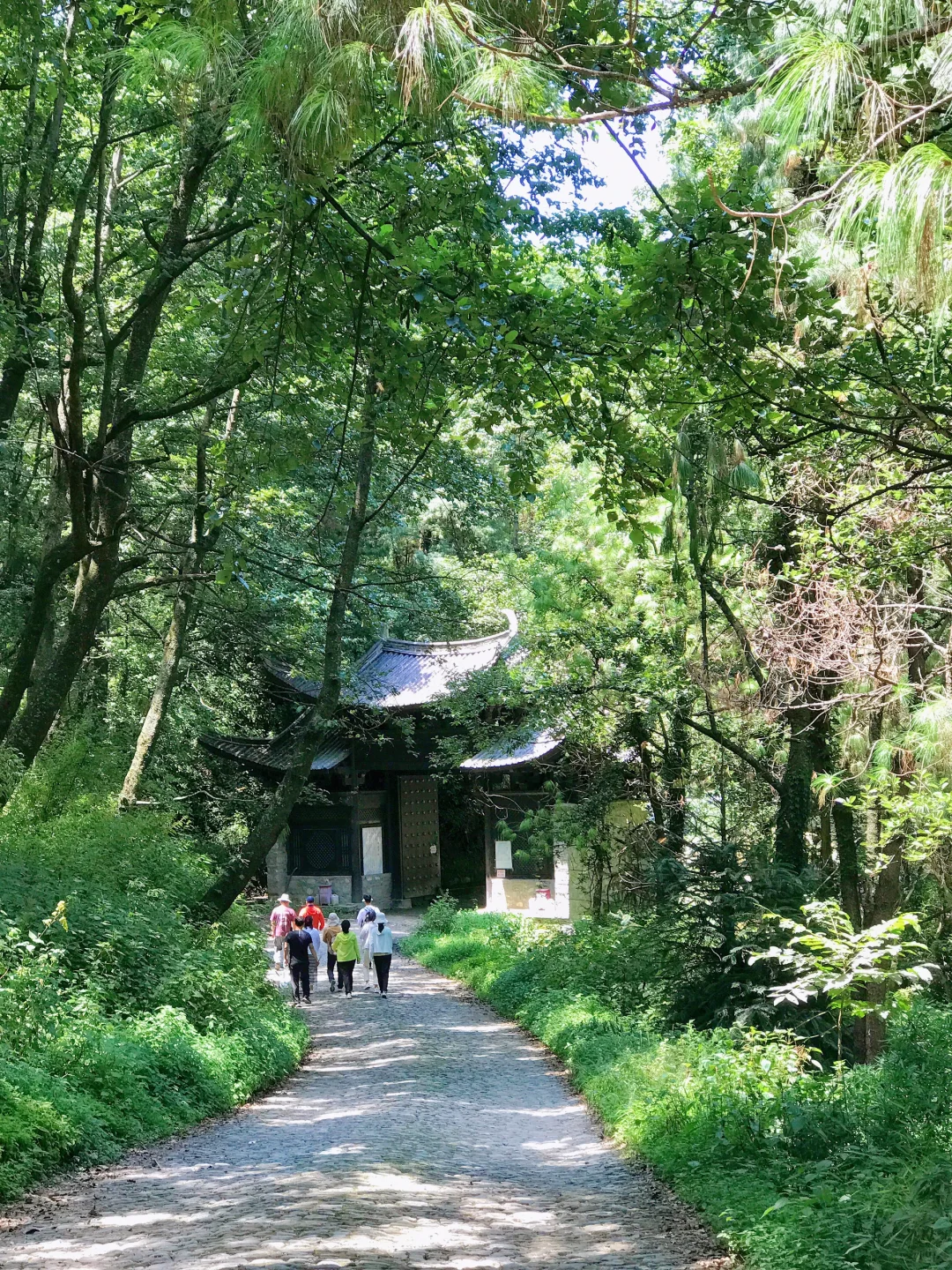 跟着《黑神话·悟空》打卡大理取景地～无为寺篇