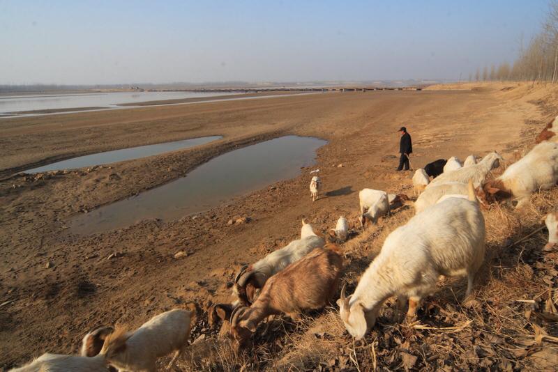 昨日正值大寒，作为一年里的最后一个节气，它预示着新的一年即将开启。老祖宗传承下来