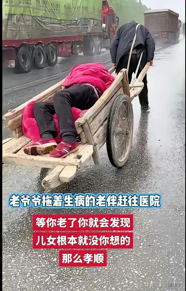 老来难，老来难，人人都有老去的那一天，有时候真害怕自己老去，但是这不是以人的意志