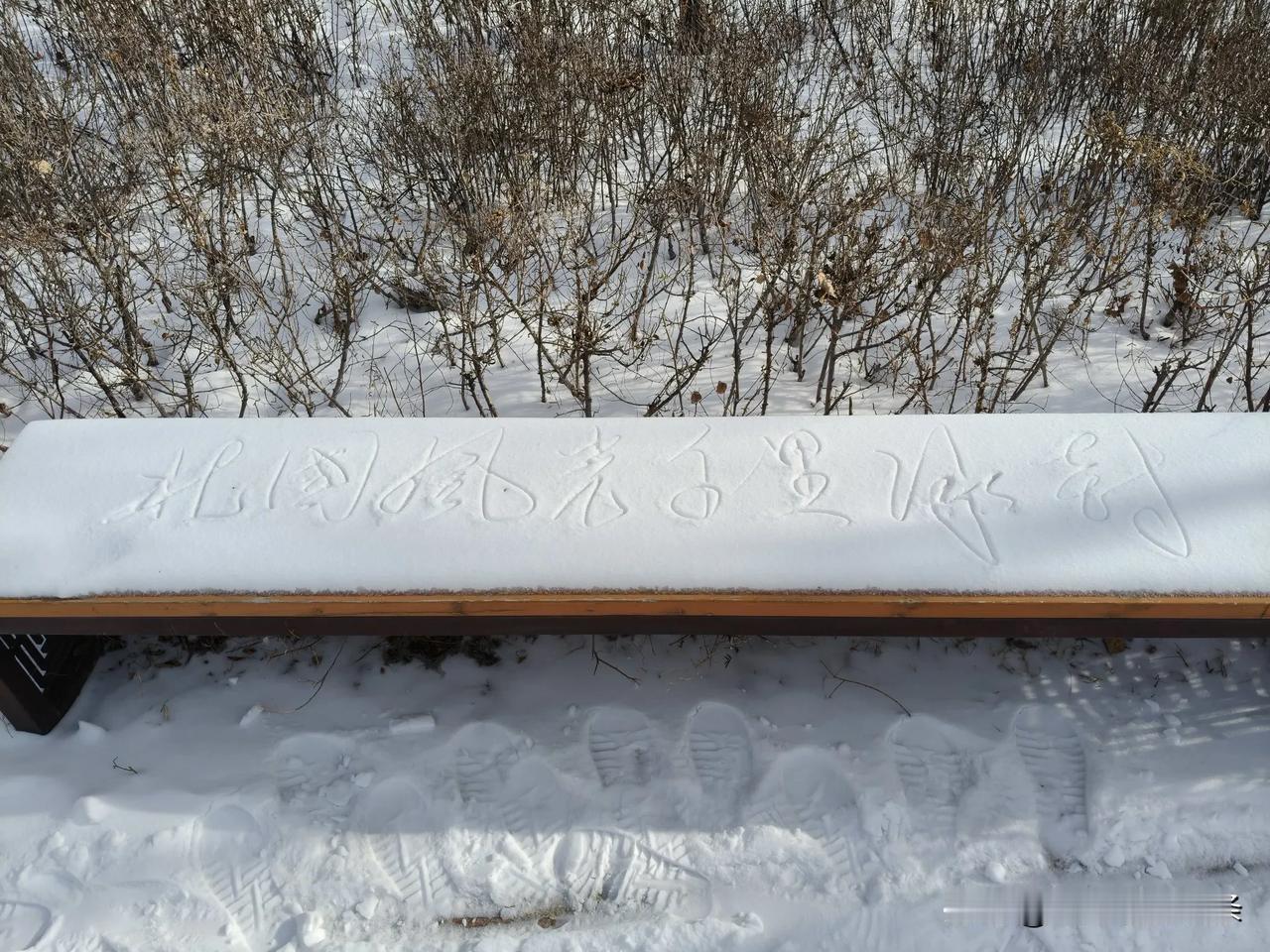 吉林白城鹤城壹号院。有人在秋千上独坐，有人雪上写书法。有人奔跑，有人漫步。浪漫有