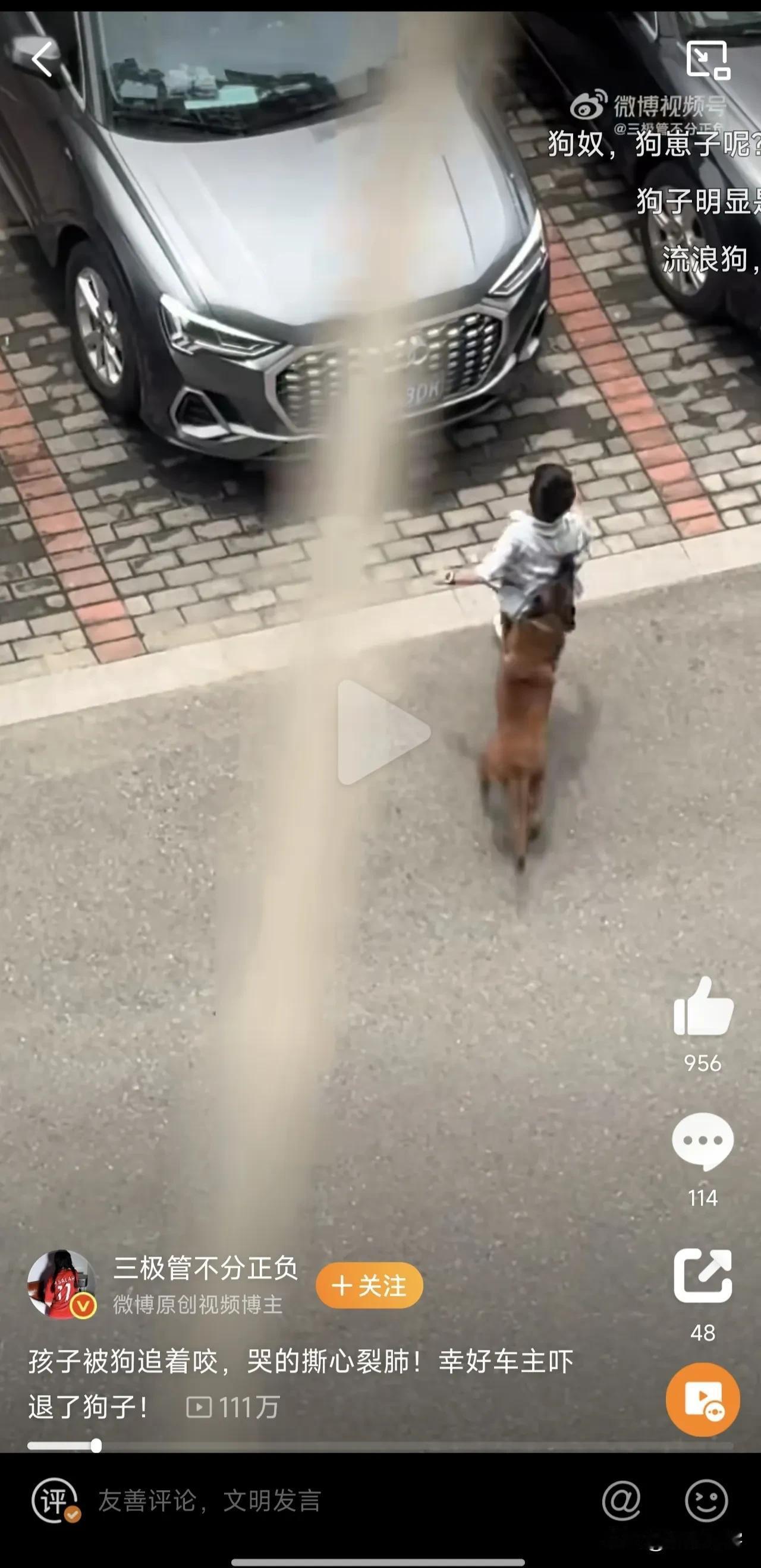 刚刷到这段大狗追着撕咬小孩儿的视频，小孩儿撕心裂肺地喊救命，作为一个老父亲看不得