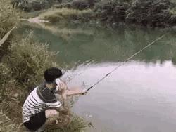 这鱼掉的，估计以后心理会有阴影了。