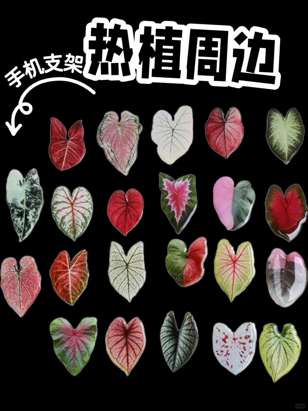 喜爱植物的人想天天把植物带身上