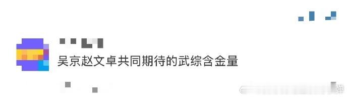 吴京赵文卓共同期待的武综含金量  家人们，谁能拒绝这档武综？赵文卓精心策划，邀来