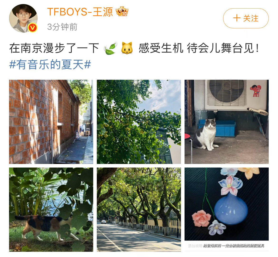 王源南京漫步感受城市生机 王源给助理买了花花道具 源哥昨天真的在逛南京！所以昨天