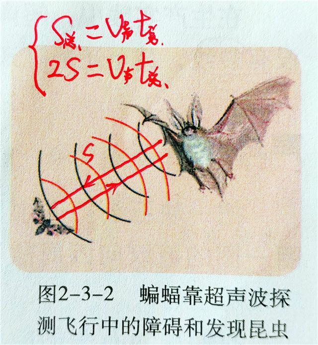 一个“2”！导致几乎全军覆没！
为什么总是考虑不到来回双程距离呢？