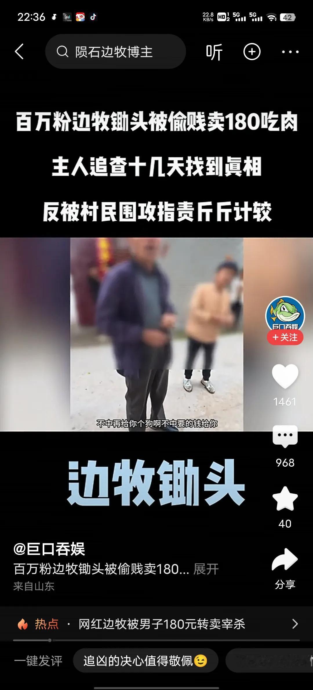 旅游博主用青春去旅行，有100多万粉丝的主要原因就是他有一条边牧狗。狗的名字叫锄
