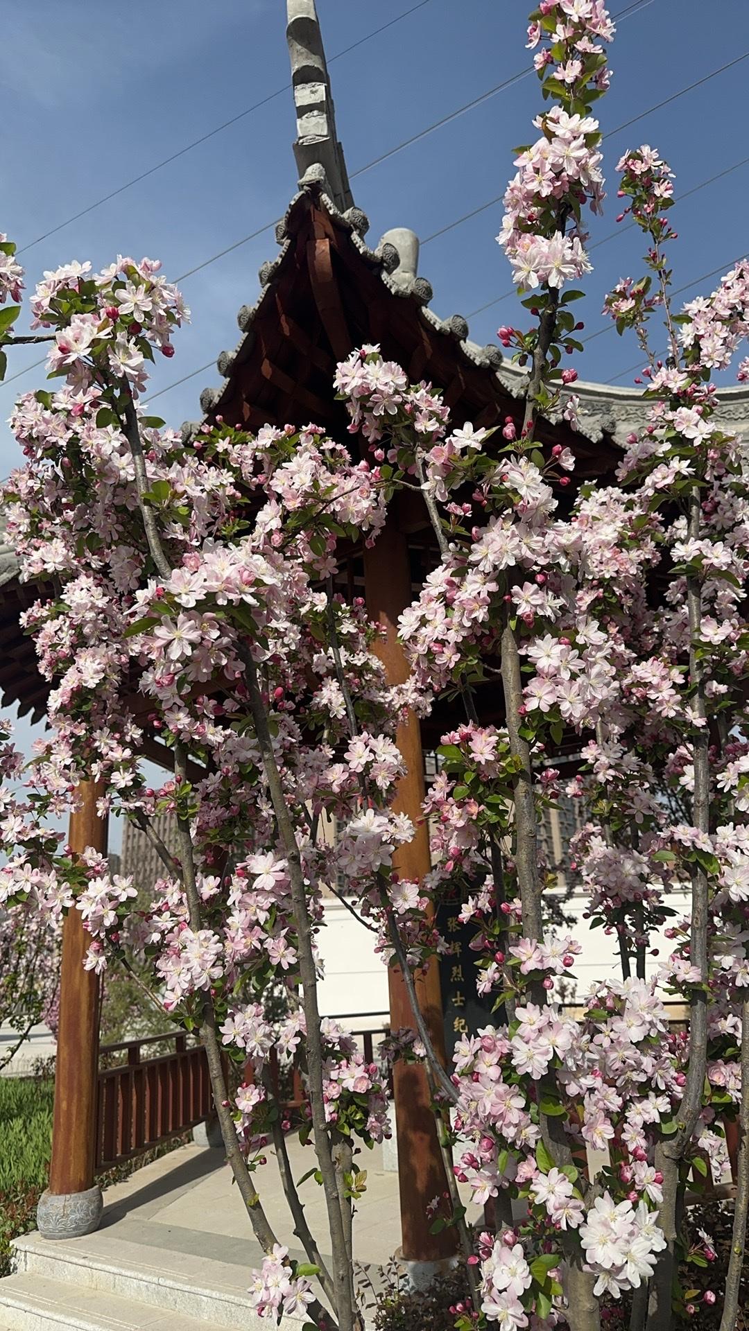 风遇山海皆温柔，日子慢慢皆欢喜