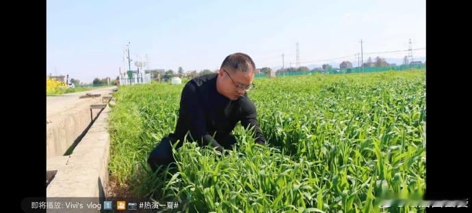 台州路桥藏粮于技让会种田变慧种田路桥依托现代农业技术，实现从 “会种田” 到 “
