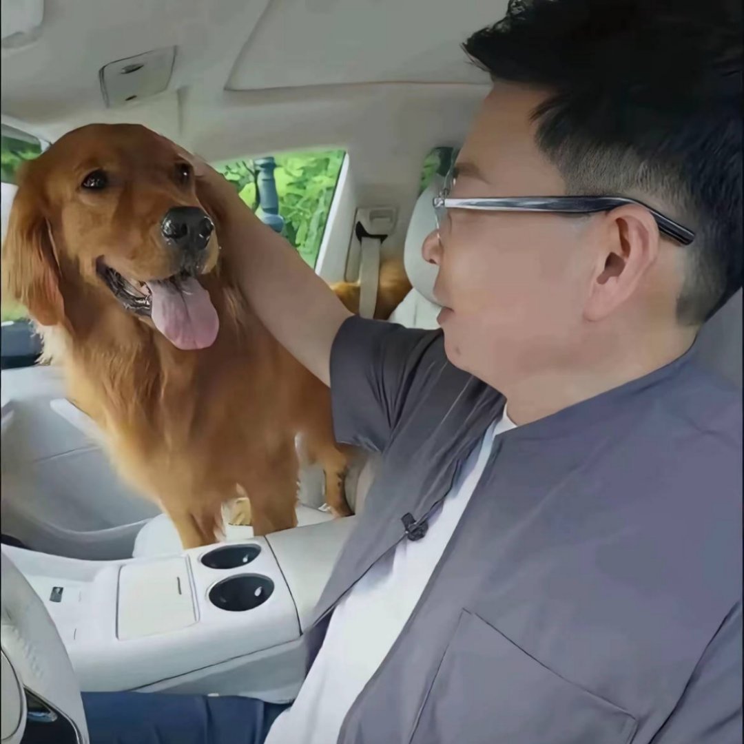 一般都让狗在后面吧？放副驾驶会影响驾驶。 ​​​