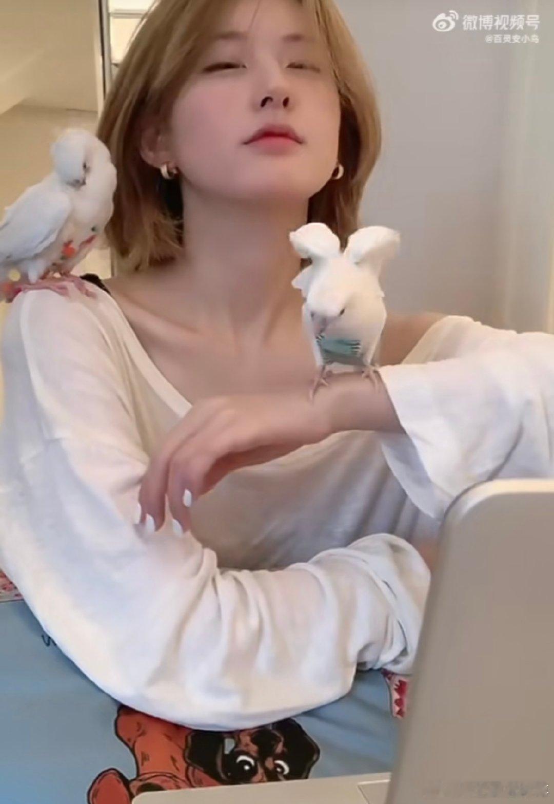 赵露思直播被鹦鹉咬耳环 不得不说，赵露思直播的这两只鹦鹉太有活力了，对她的耳环“