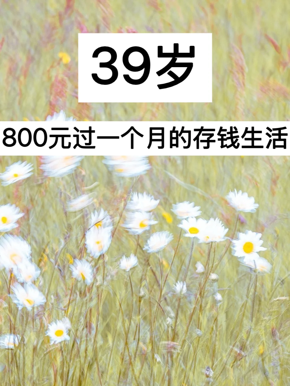 39岁，800元过一个月的存钱生活，真的很爽！