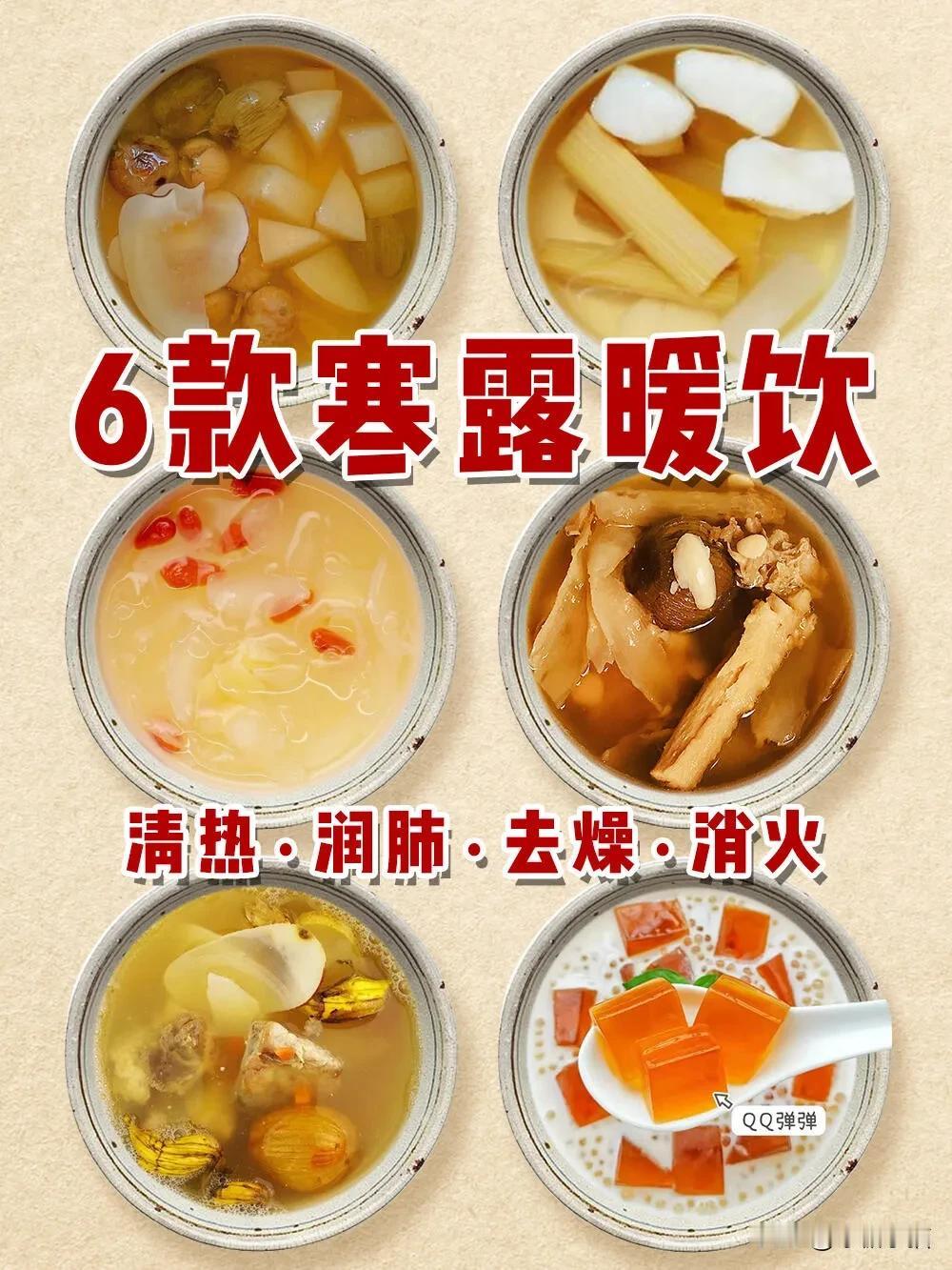 #虫草陈皮川贝茶# #麦冬雪梨水# #麦冬滋阴养颜茶# #润燥的茶饮# #慢煨滋