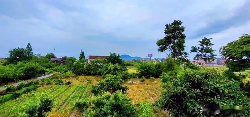 乡村原生态风景，随手一拍都是大片。
下雪时，白雪覆乡野，旧院忆流年。皑皑白雪铺满