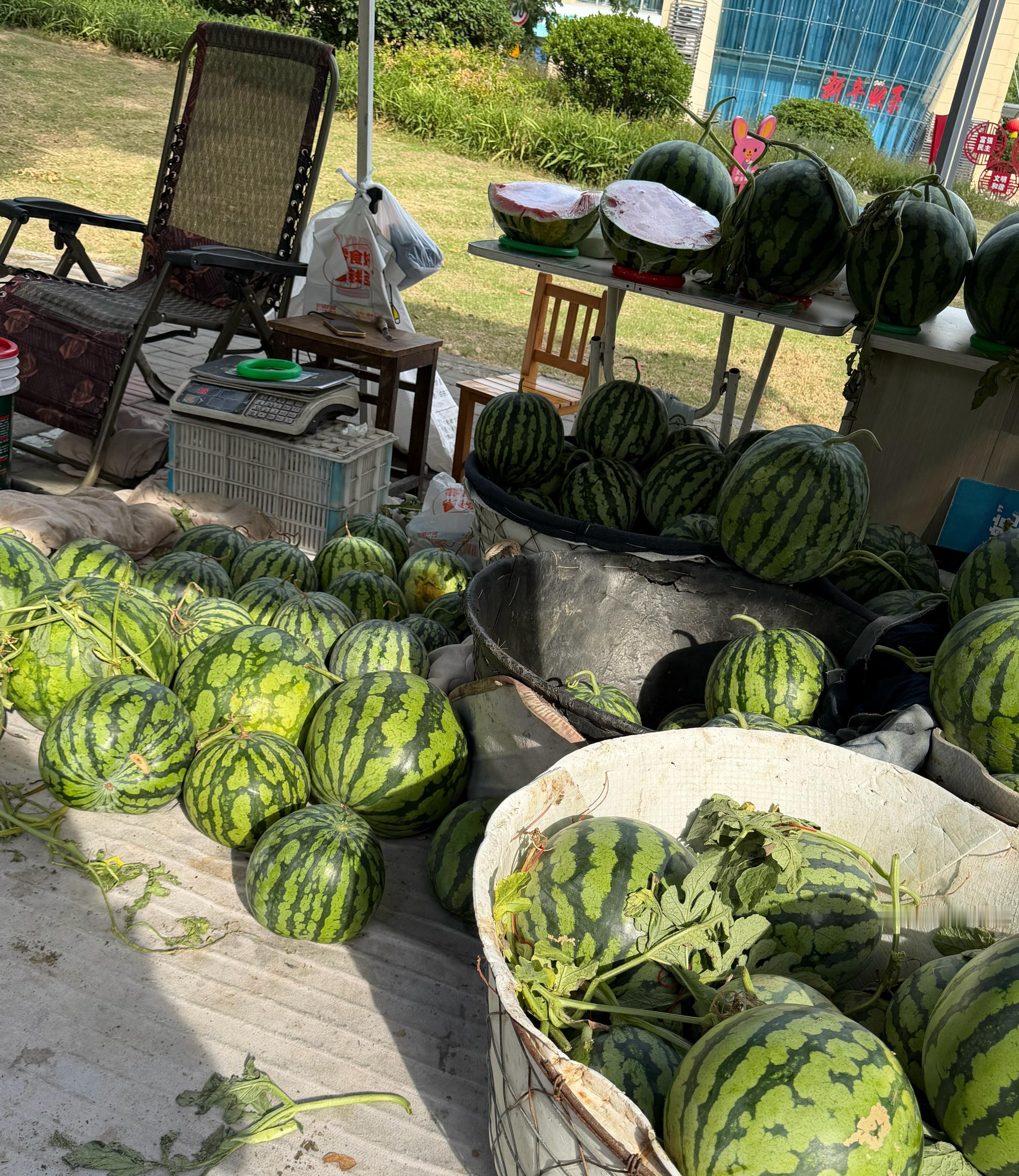 骑小电驴到处乱跑一路就知道吃了买了个大西瓜还买了小烧饼每次经过这家烧饼店都会买点