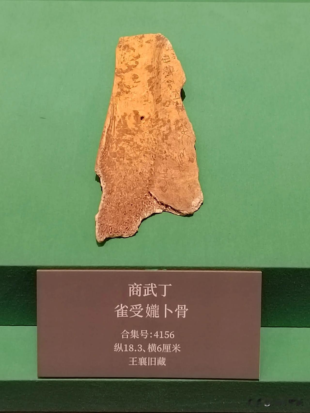 王入大邑商（九）
——天津博物馆藏武丁卜辞探亲展