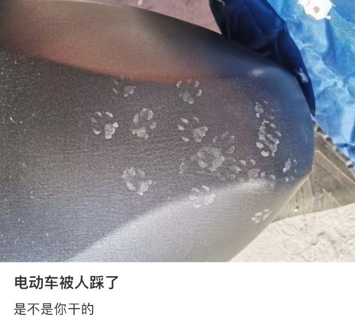 谁踩了她的电动车[喵喵] ​ ​​​