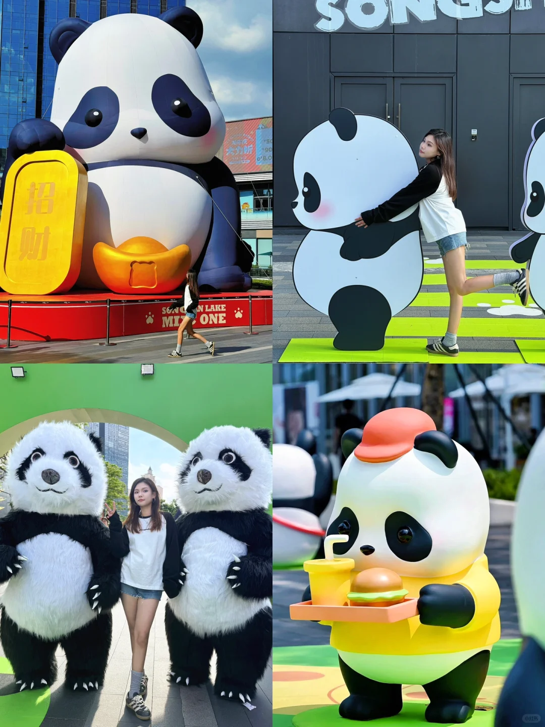 国庆慢慢玩|🐼超多熊猫！！！快集合啦