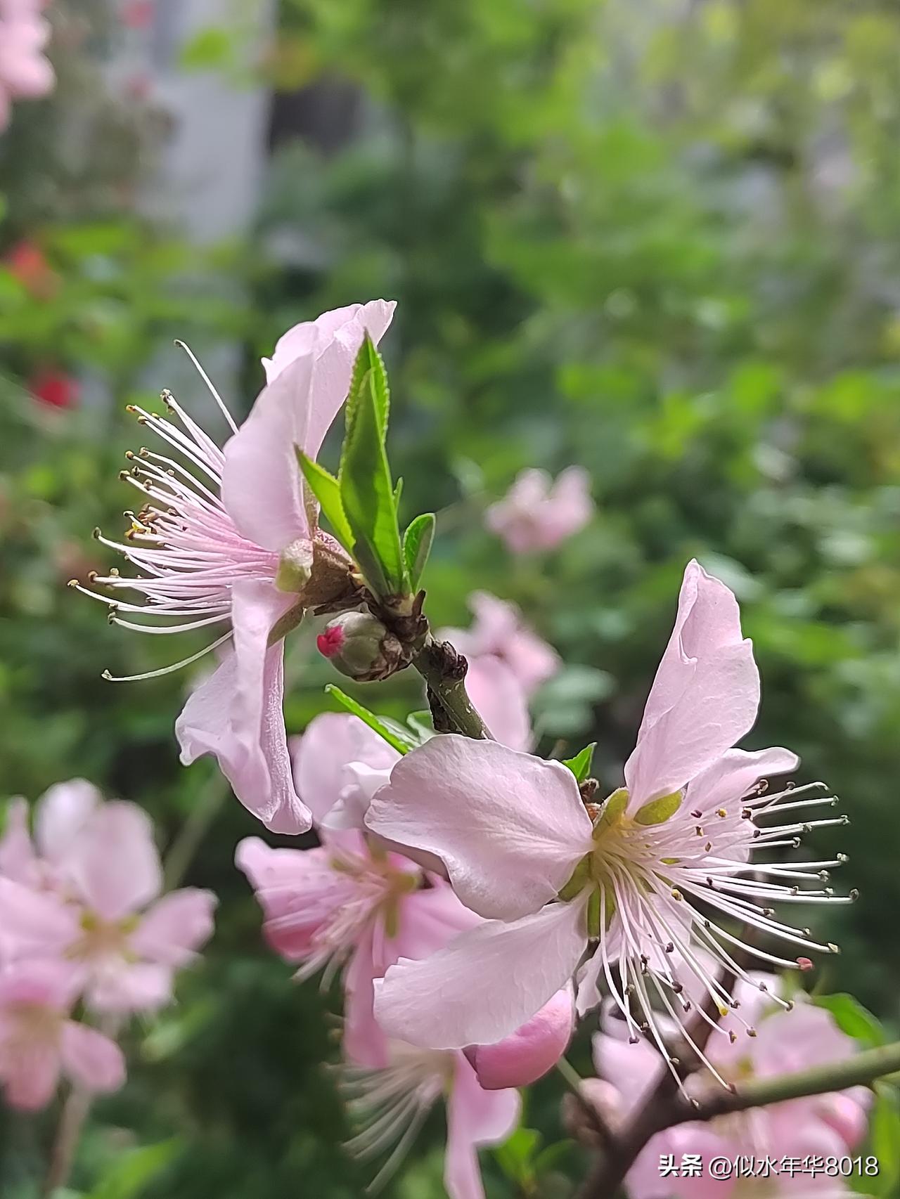今天南京市天气晴朗，温度11～22℃。云淡风轻，春和景明，体感温润舒适，非常适合