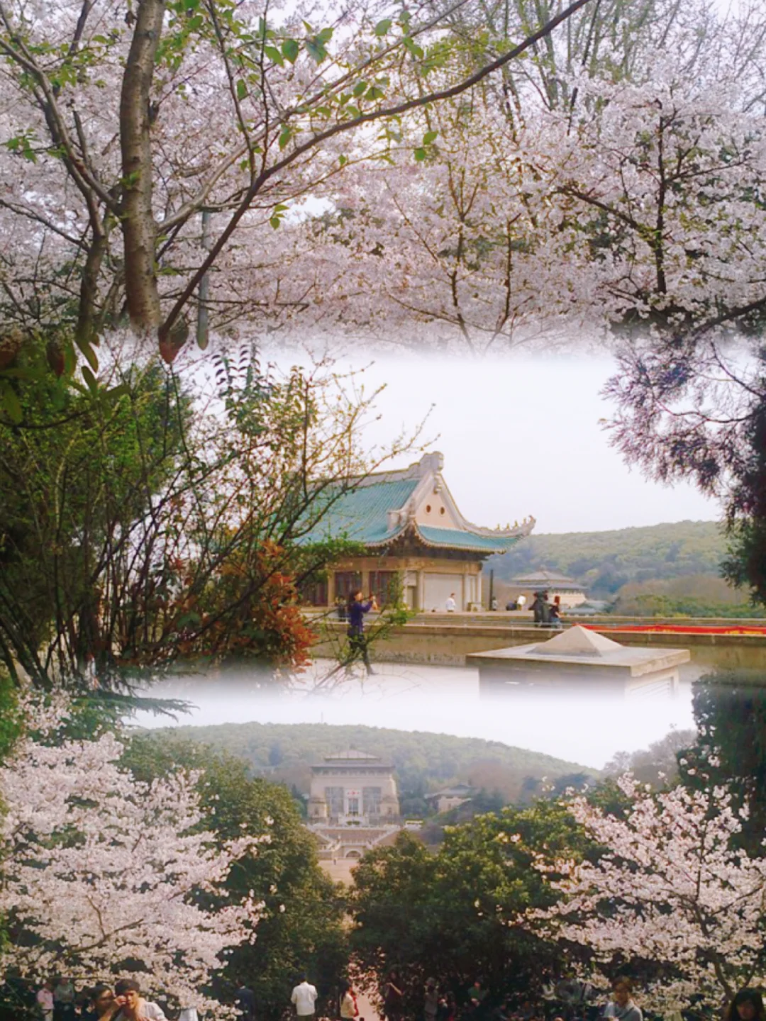 别拒绝❌武汉3月景点免费🔥送30万张惠民票‼️