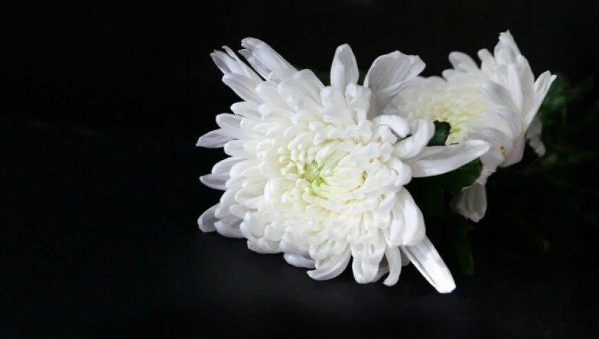 复旦大学管理学院发布讣告：他因病逝世，年仅58岁！众师生纷纷留言悼念复旦大学管理