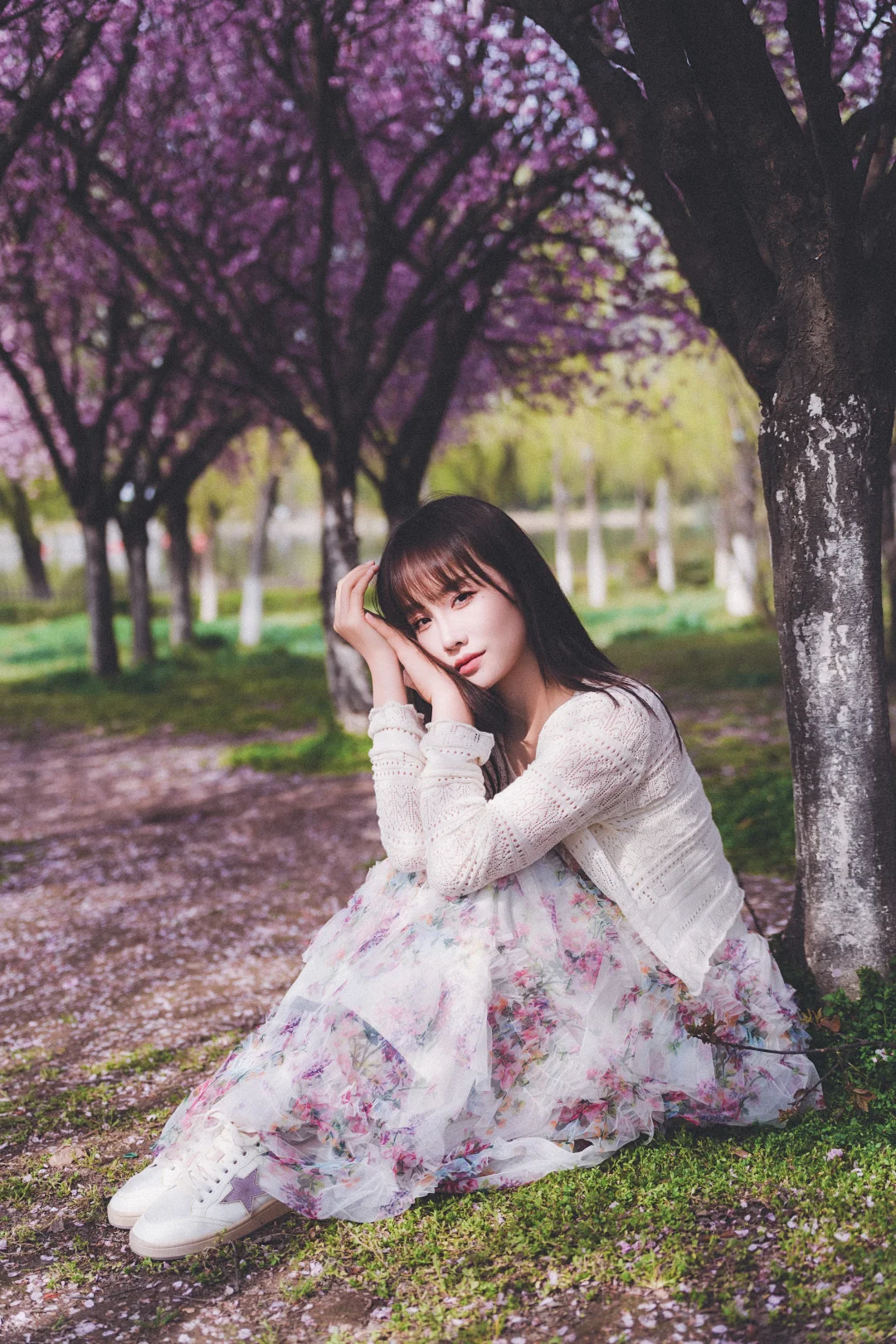 大明宫美人梅🌸